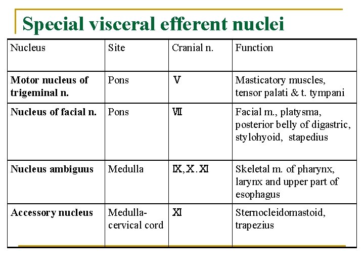 Special visceral efferent nuclei Nucleus Site Cranial n. Function Motor nucleus of trigeminal n.