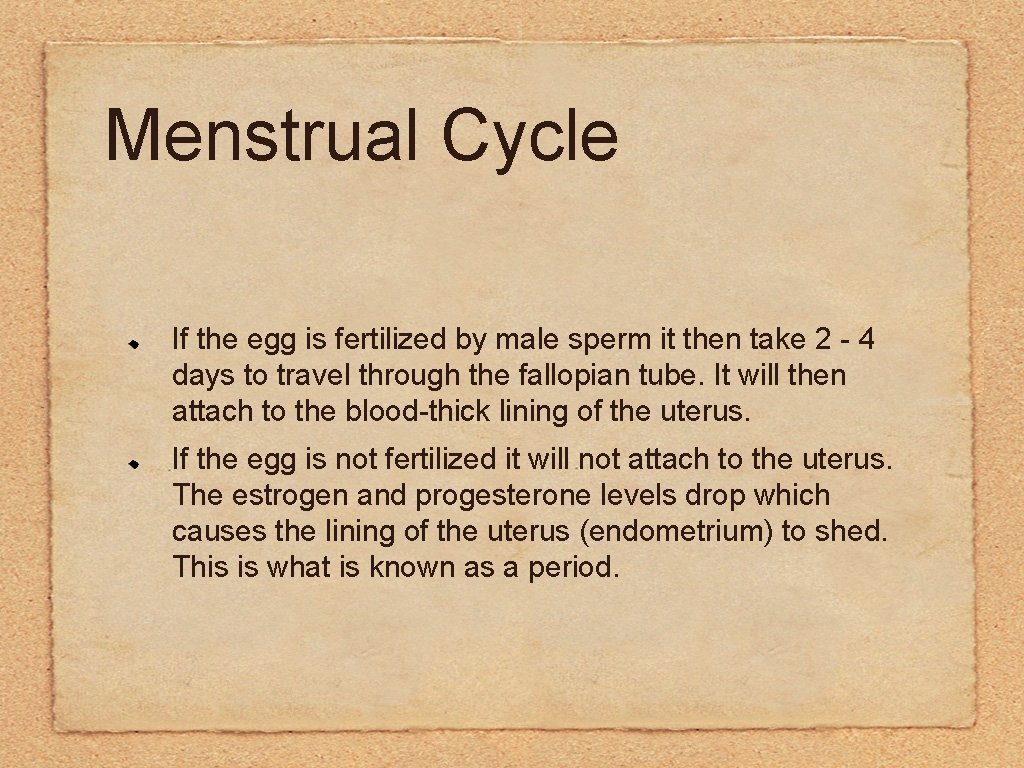 Menstrual Cycle If the egg is fertilized by male sperm it then take 2