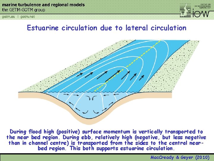 Estuarine circulation due to lateral circulation During flood high (positive) surface momentum is vertically