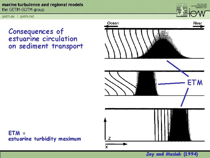 Consequences of estuarine circulation on sediment transport ETM = estuarine turbidity maximum Jay and