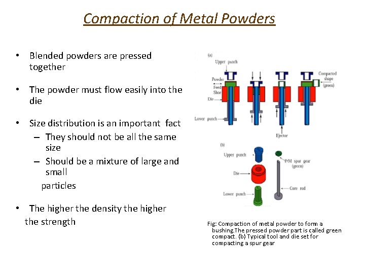 Compaction of Metal Powders • Blended powders are pressed together • The powder must