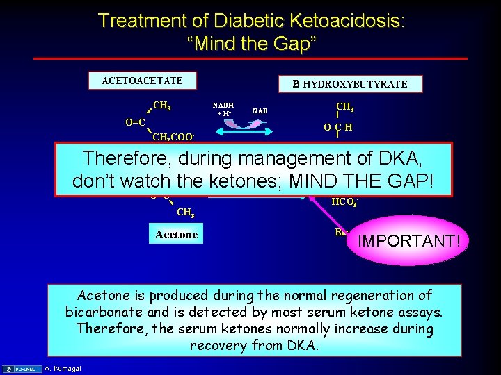 Treatment of Diabetic Ketoacidosis: “Mind the Gap” ACETOACETATE B-HYDROXYBUTYRATE CH 3 NADH + H+