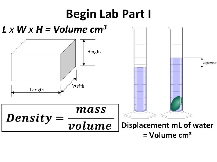 Begin Lab Part I L x W x H = Volume cm 3 Displacement