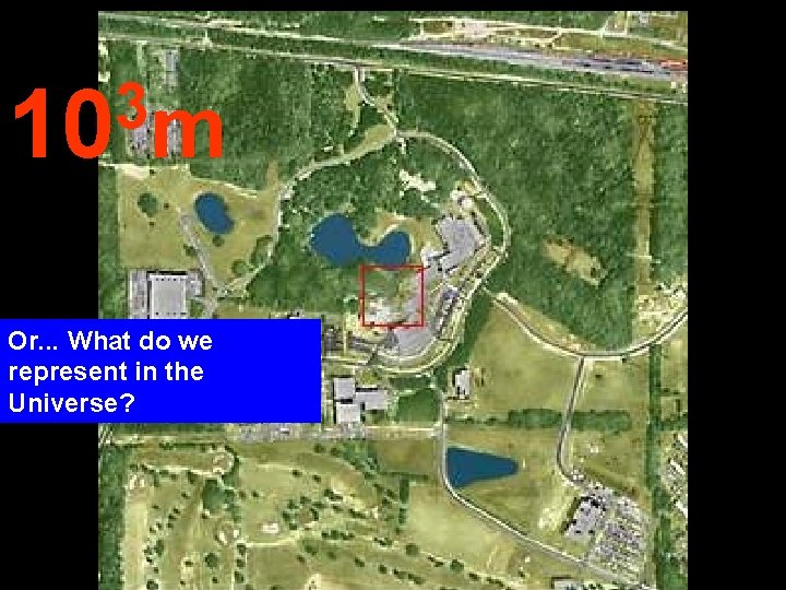 3 10 m Or. . . What do we represent in the Universe? 