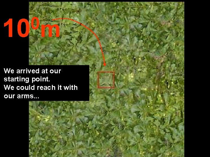 0 10 m We arrived at our starting point. We could reach it with