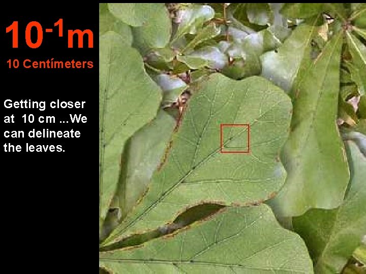 -1 10 m 10 Centímeters Getting closer at 10 cm. . . We can