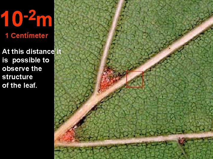 -2 10 m 1 Centímeter At this distance it is possible to observe the