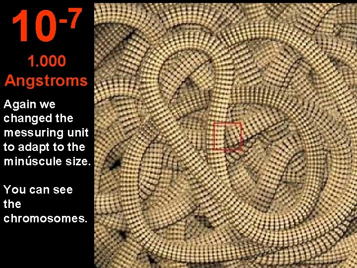-7 10 1. 000 Angstroms Again we changed the messuring unit to adapt to
