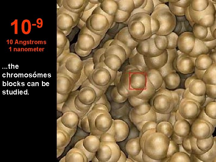 -9 10 10 Angstroms 1 nanometer . . . the chromosómes blocks can be