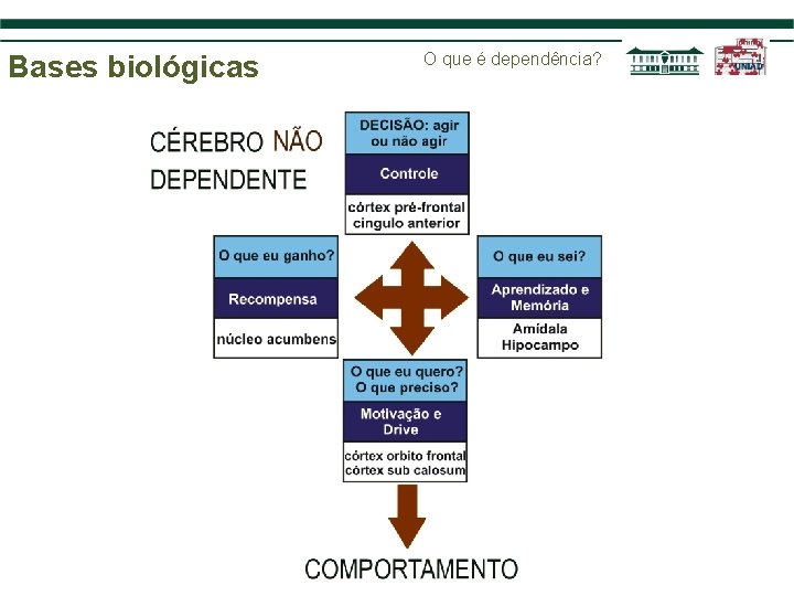 Bases biológicas O que é dependência? 