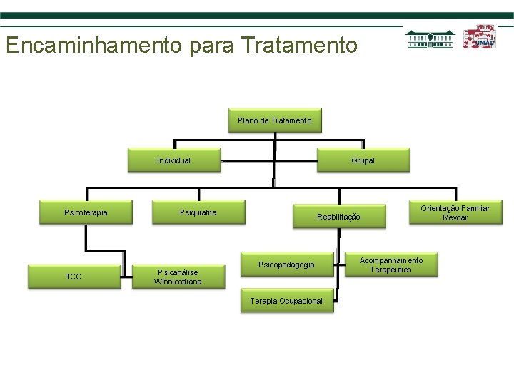 Encaminhamento para Tratamento Plano de Tratamento Individual Psicoterapia TCC Grupal Psiquiatria Psicanálise Winnicottiana Reabilitação