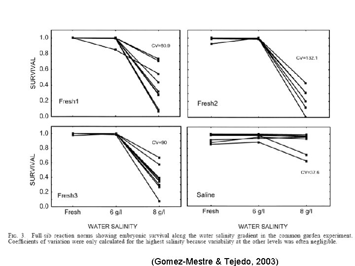 (Gomez-Mestre & Tejedo, 2003) 