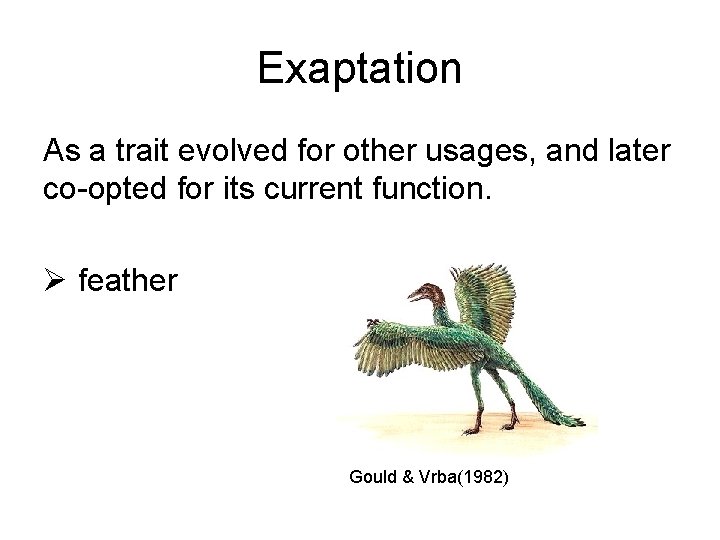 Exaptation As a trait evolved for other usages, and later co-opted for its current