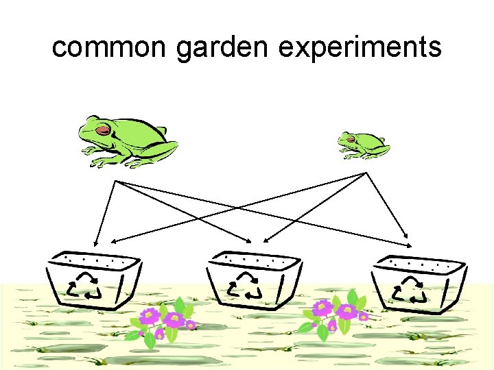 common garden experiments 