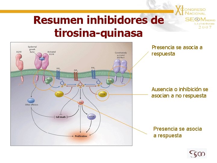 Resumen inhibidores de tirosina-quinasa Presencia se asocia a respuesta Ausencia o inhibición se asocian