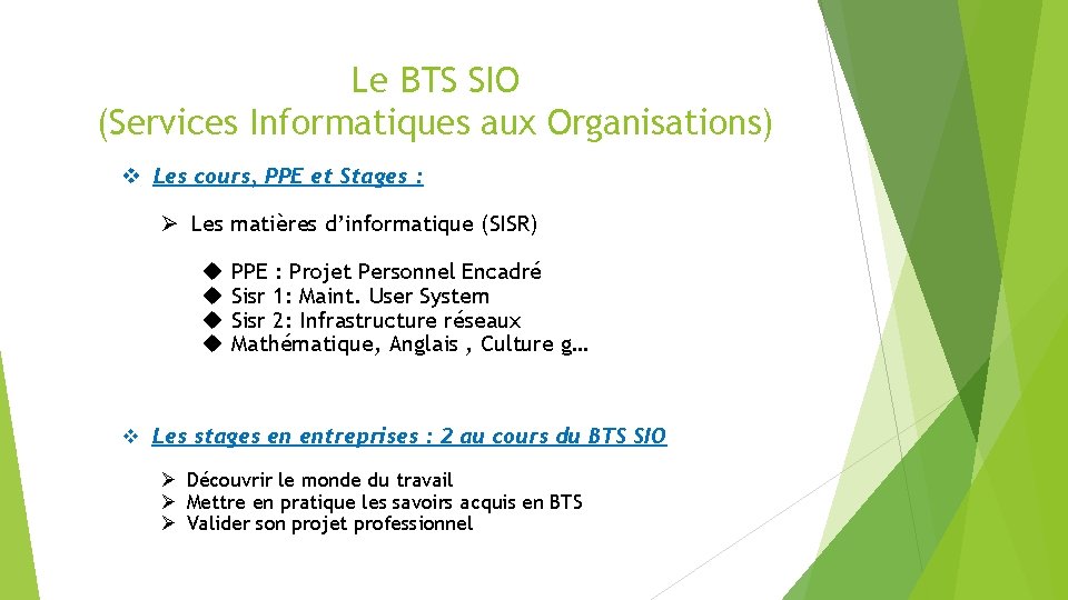 Le BTS SIO (Services Informatiques aux Organisations) v Les cours, PPE et Stages :
