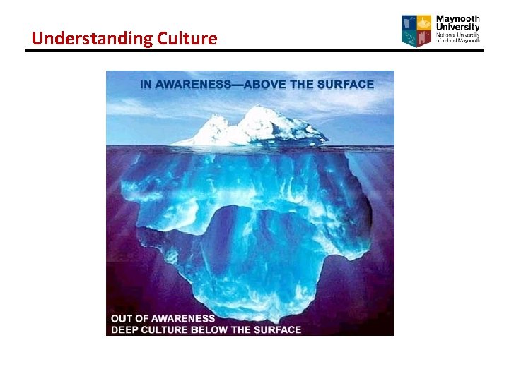 Understanding Culture Understanding Culture