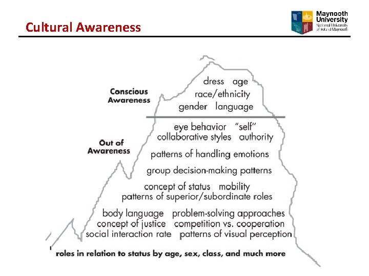 Cultural Awareness Cultural Awareness