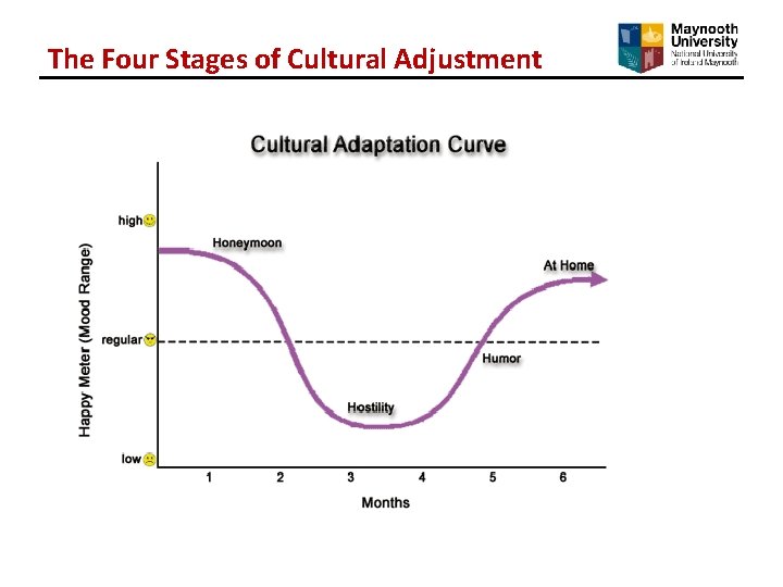 The Four Stages of Cultural Adjustment The Four Stages of Cultural Adjustment