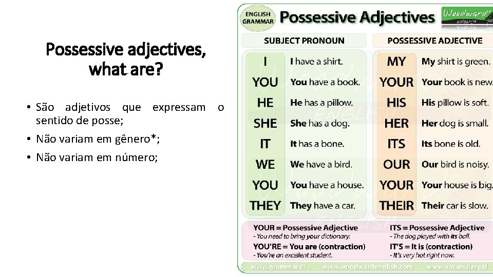 Possessive adjectives, what are? • São adjetivos que expressam o sentido de posse; •