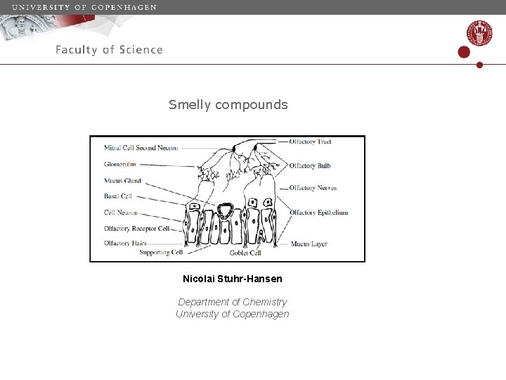 Smelly compounds Nicolai StuhrHansen Department of Chemistry University