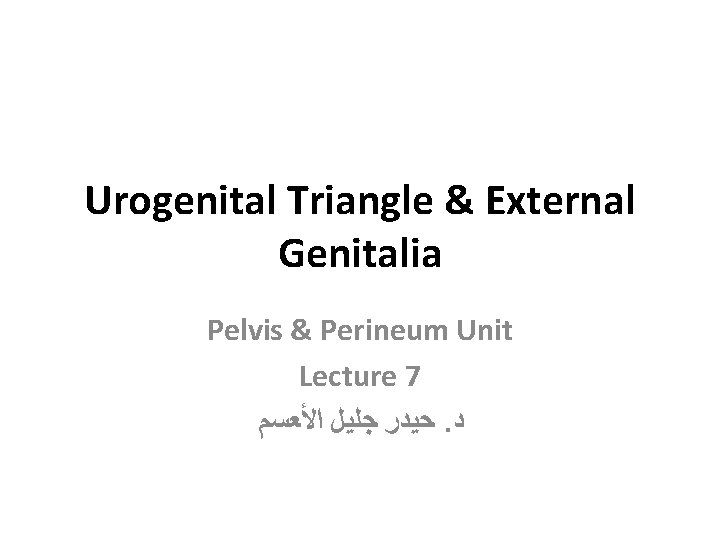 Urogenital Triangle & External Genitalia Pelvis & Perineum Unit Lecture 7 ﺣﻴﺪﺭ ﺟﻠﻴﻞ ﺍﻷﻌﺴﻢ.