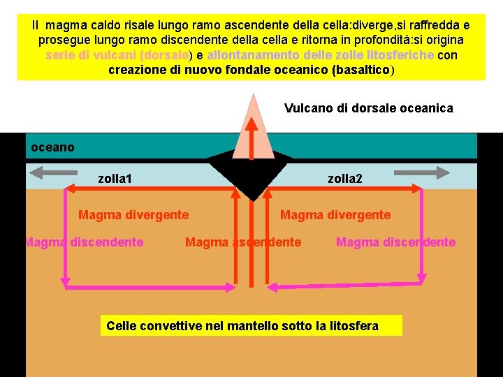 Il magma caldo risale lungo ramo ascendente della cella: diverge, si raffredda e prosegue