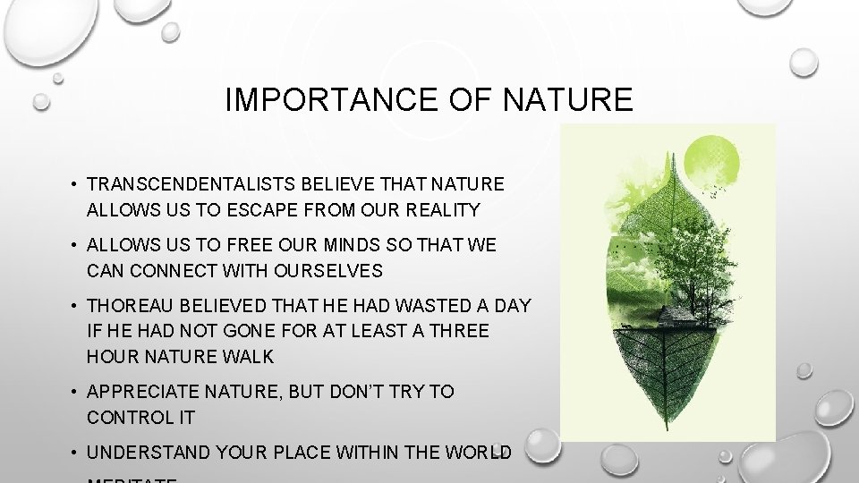 IMPORTANCE OF NATURE • TRANSCENDENTALISTS BELIEVE THAT NATURE ALLOWS US TO ESCAPE FROM OUR