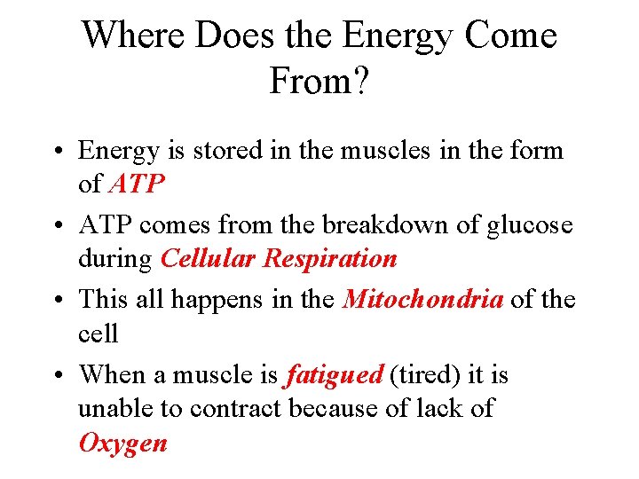 Where Does the Energy Come From? • Energy is stored in the muscles in