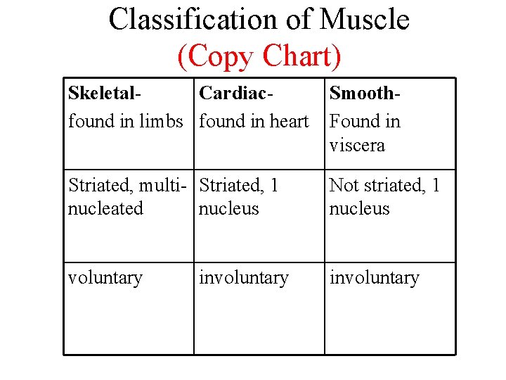 Classification of Muscle (Copy Chart) Skeletal. Cardiacfound in limbs found in heart Smooth. Found