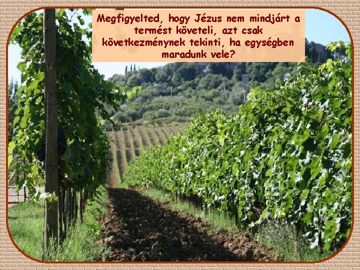 Megfigyelted, hogy Jézus nem mindjárt a termést követeli, azt csak következménynek tekinti, ha egységben