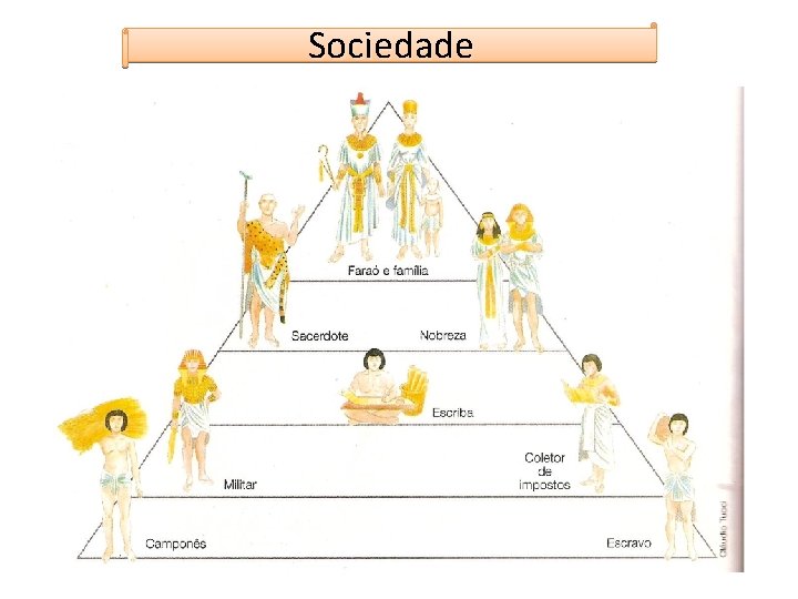 Sociedade 