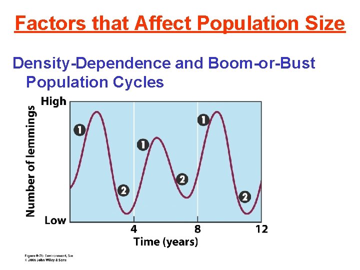 Factors that Affect Population Size Density-Dependence and Boom-or-Bust Population Cycles 