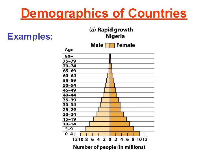 Demographics of Countries Examples: 