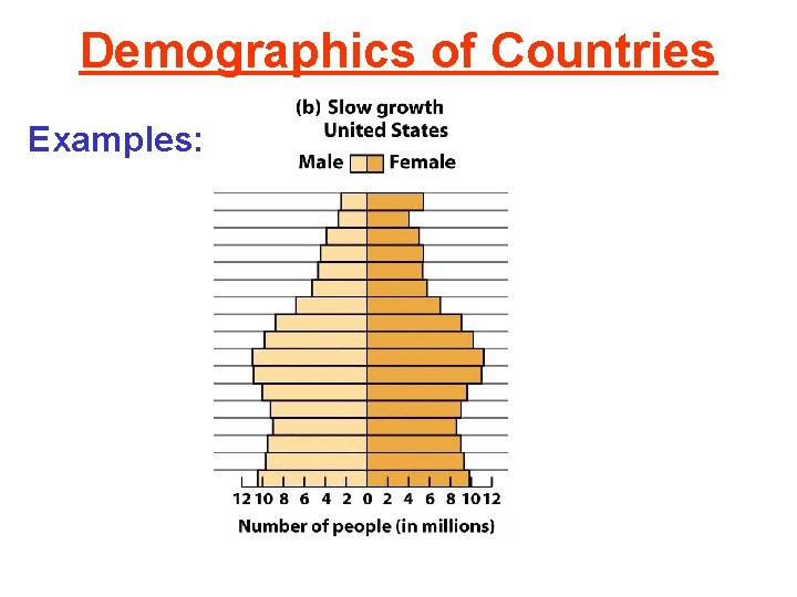 Demographics of Countries Examples: 