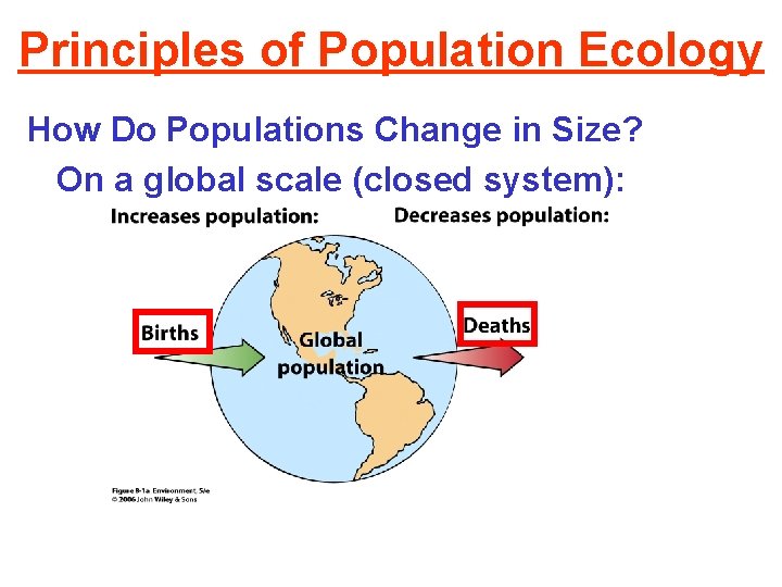 Principles of Population Ecology How Do Populations Change in Size? On a global scale