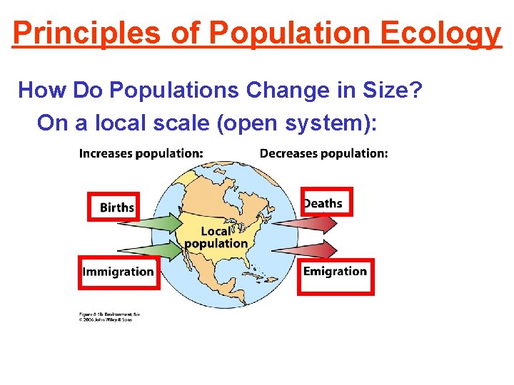 Principles of Population Ecology How Do Populations Change in Size? On a local scale