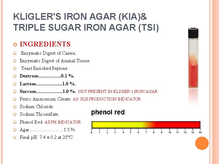 KLIGLER'S IRON AGAR (KIA)& TRIPLE SUGAR IRON AGAR (TSI) q q q INGREDIENTS Enzymatic