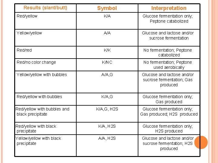 Results (slant/butt) Symbol Interpretation Red/yellow K/A Glucose fermentation only; Peptone catabolized Yellow/yellow A/A Glucose