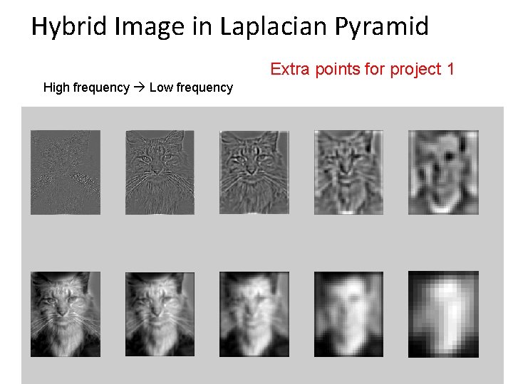 Hybrid Image in Laplacian Pyramid Extra points for project 1 High frequency Low frequency