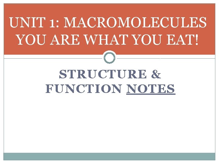 UNIT 1: MACROMOLECULES YOU ARE WHAT YOU EAT! STRUCTURE & FUNCTION NOTES 