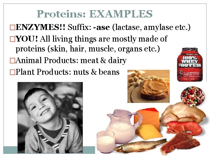 Proteins: EXAMPLES �ENZYMES!! Suffix: -ase (lactase, amylase etc. ) �YOU! All living things are