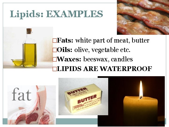 Lipids: EXAMPLES �Fats: white part of meat, butter �Oils: olive, vegetable etc. �Waxes: beeswax,