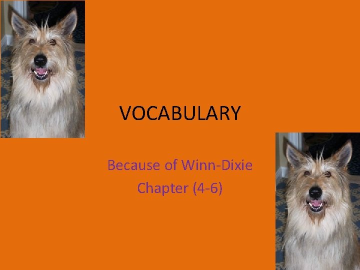 VOCABULARY Because of Winn-Dixie Chapter (4 -6) 