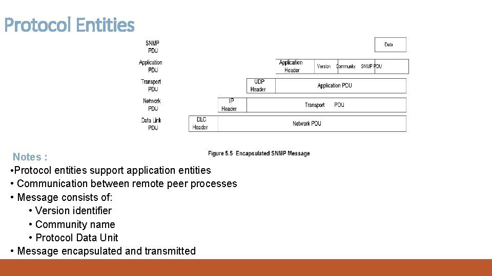 Protocol Entities Notes : • Protocol entities support application entities • Communication between remote