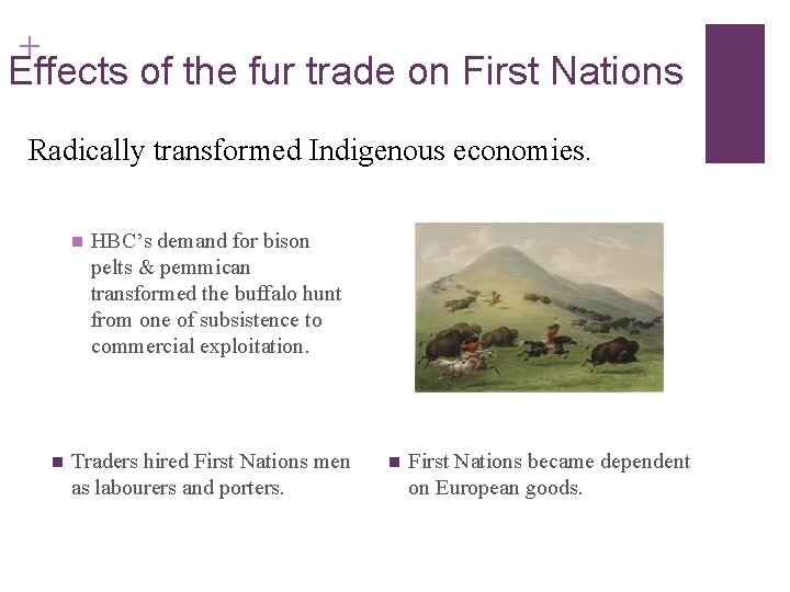+ Effects of the fur trade on First Nations Radically transformed Indigenous economies. n + Effects of the fur trade on First Nations Radically transformed Indigenous economies. n