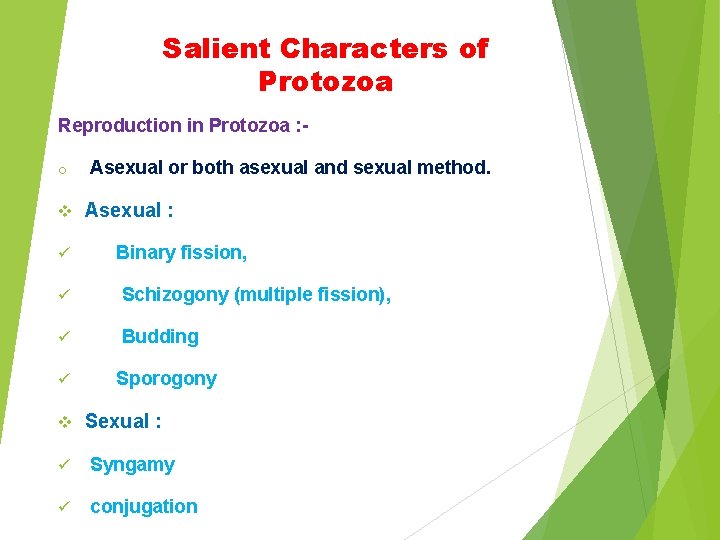 Salient Characters of Protozoa Reproduction in Protozoa : o v ü Asexual or both
