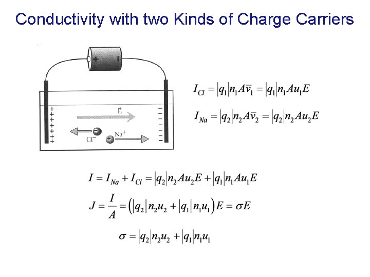 Conductivity with two Kinds of Charge Carriers 