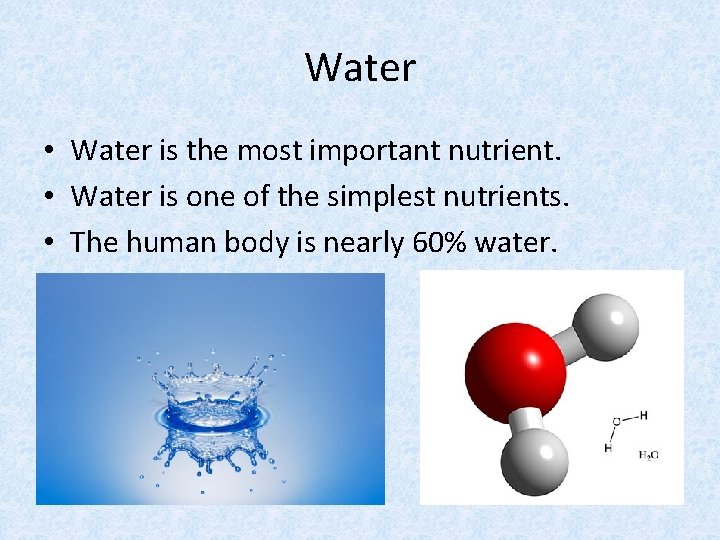 Water • Water is the most important nutrient. • Water is one of the