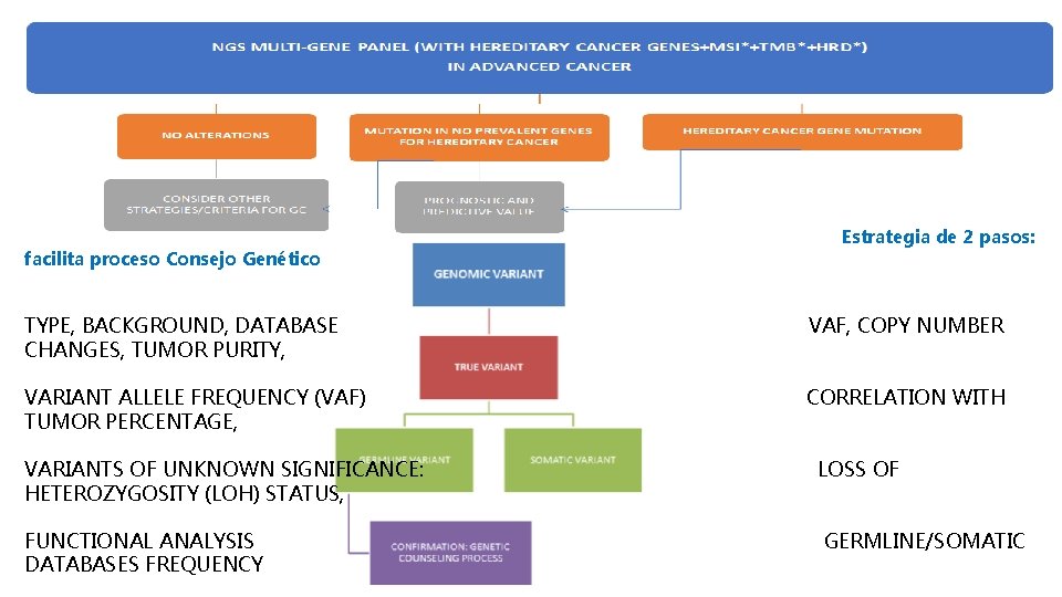 facilita proceso Consejo Genético Estrategia de 2 pasos: TYPE, BACKGROUND, DATABASE CHANGES, TUMOR PURITY,